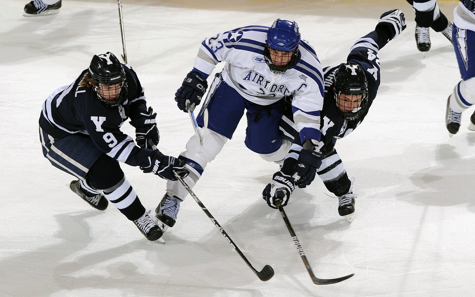 绿茵与硬木的跨界交响，当塞维利亚打穿波兰，库尔图瓦在东决接管比赛